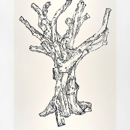 Cedar (large) - artetrama